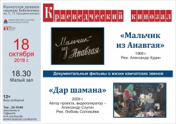 Краеведческий кинозал