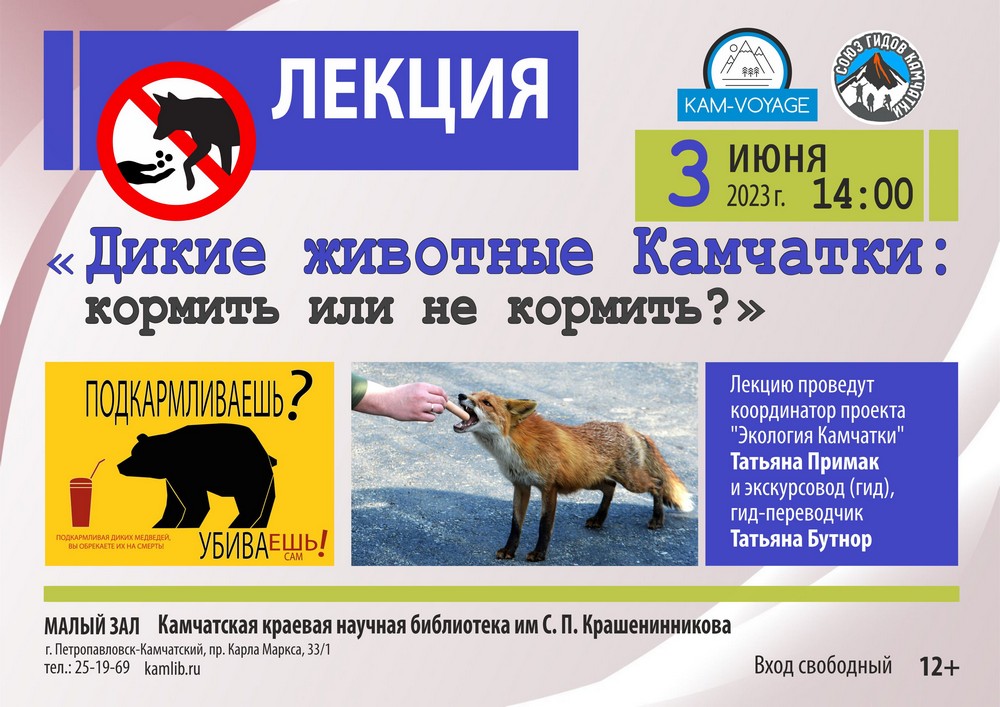 Лекция «Дикие животные Камчатки: кормить или не кормить» пройдет 3 июня в библиотеке